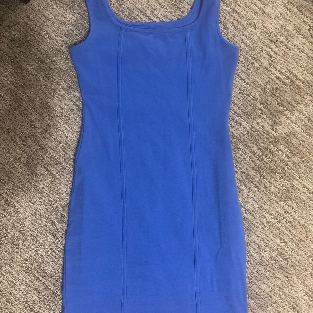 Wild Fable blue dress